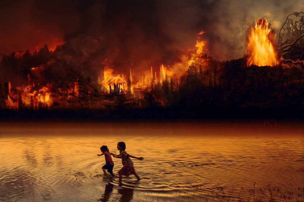 The Amazon Is (Still) Burning. Cheap Meat Is to Blame The Amazon Is (Still) Burning. Cheap Meat Is to Blame